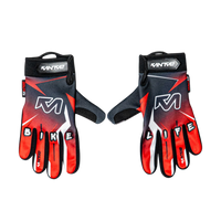 Balnia Anniversary Gloves - Limited Edition